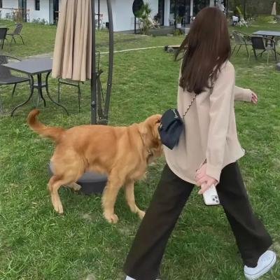 疯狂神父